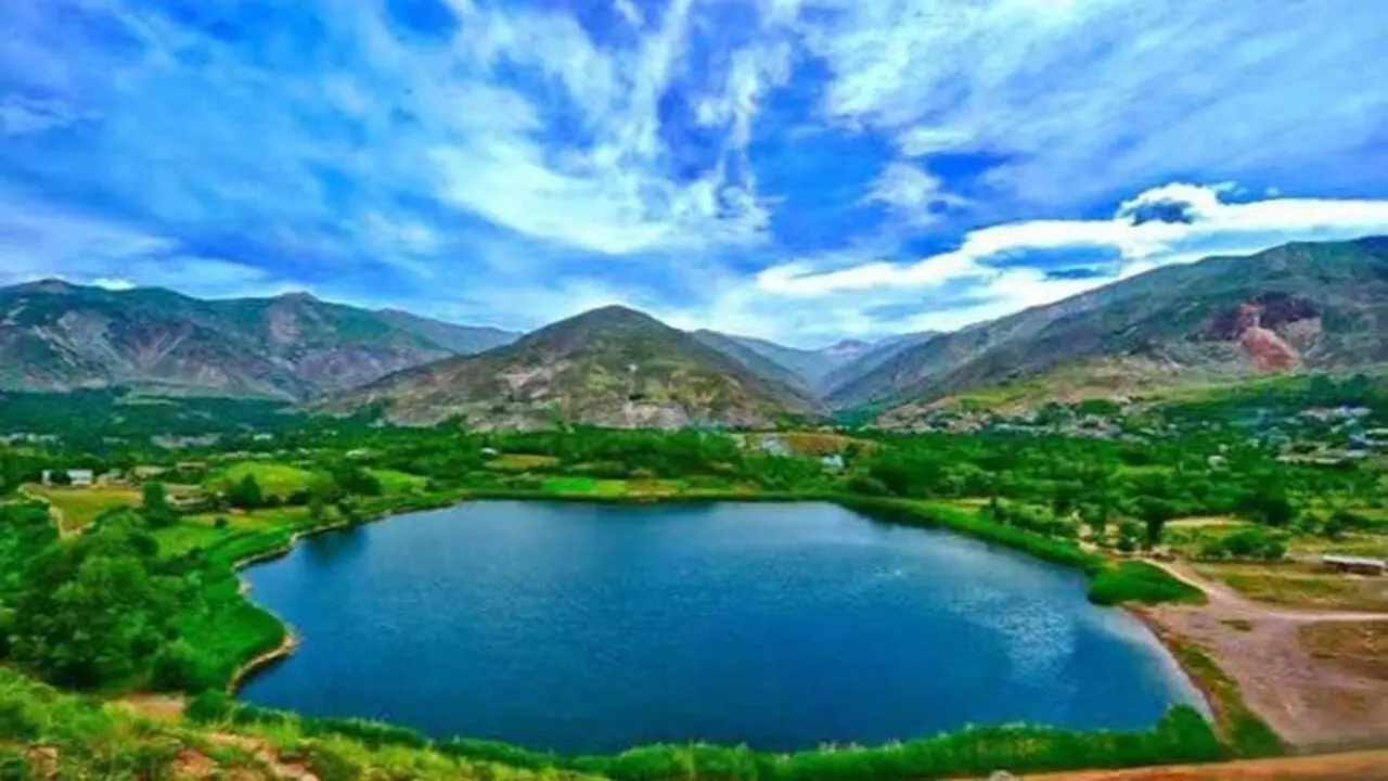 فال حیوانات سلتیک امروز 12 شهریور برای متولدین بهار