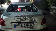 تیراندازی به خودرو یک فعال رسانه / سید رضا خاضع کیست؟ +عکس 