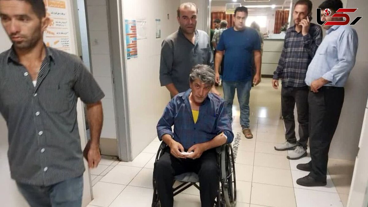 وحشت در جنگل‌های تالش / جنگلبان مورد حمله قاچاقچیان مسلح قرار گرفت