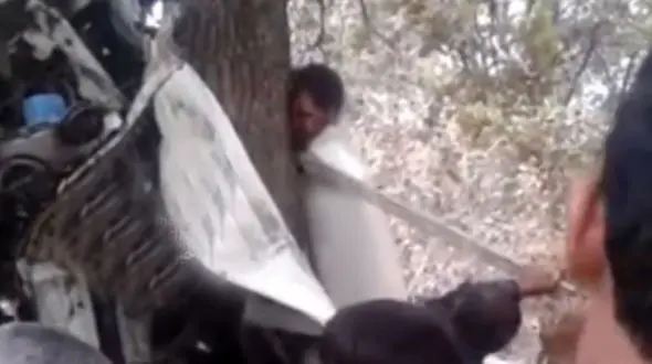 فیلم نجات معجزه‌آسا پس از تصادف پیکان با درخت ! / ماشین مچاله شد و راننده زنده ماند