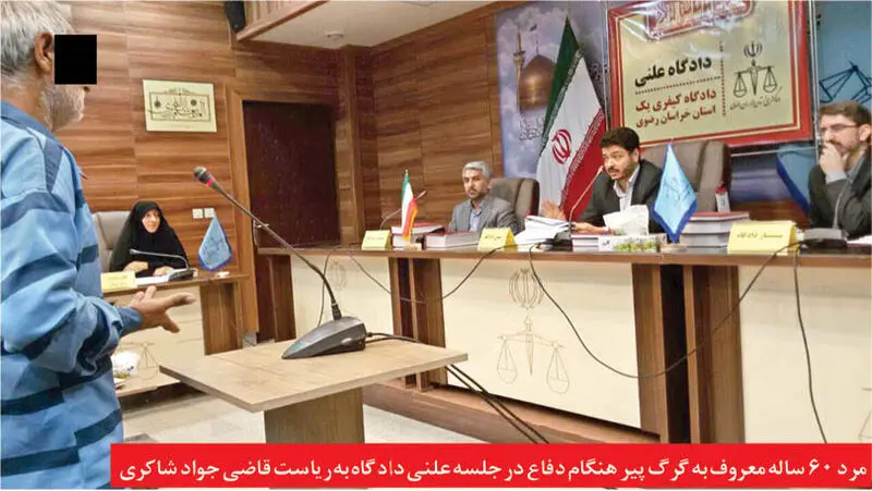 طناب دار در انتظار «گرگ پیر»