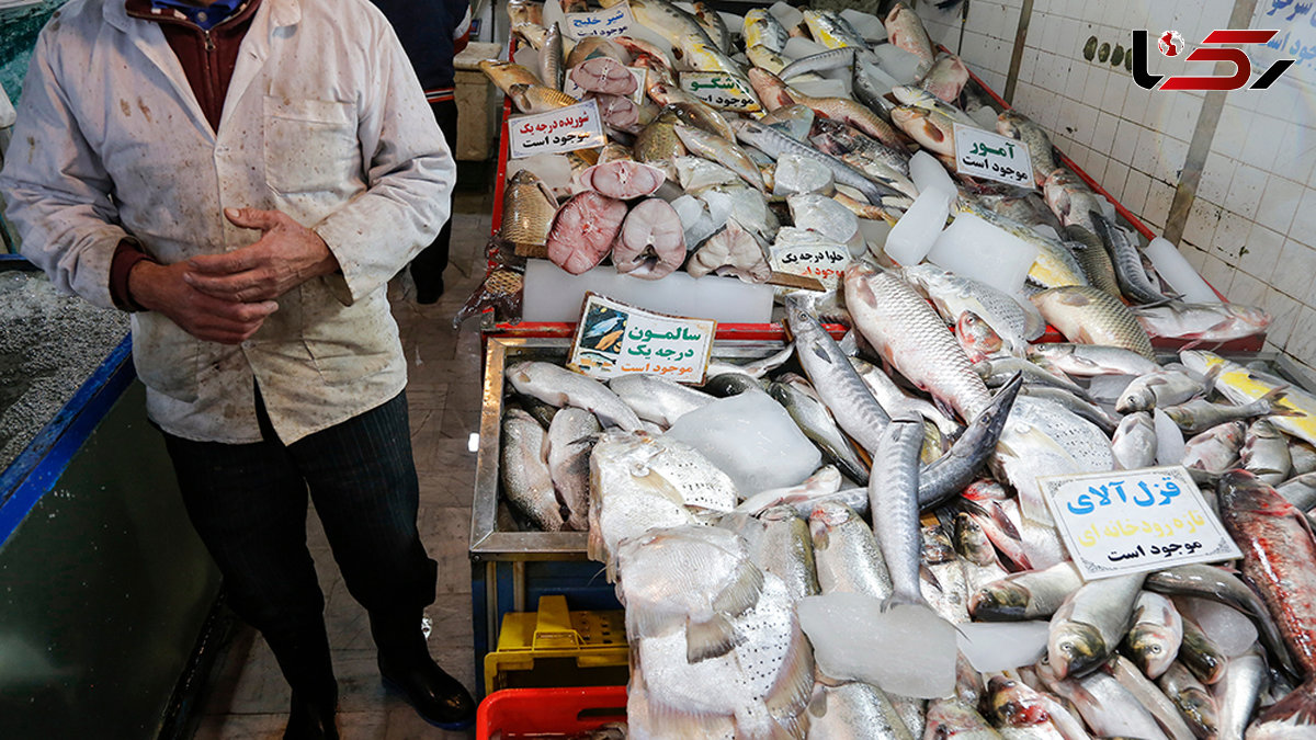 فروش کوسه ماهی به جای شیر ماهی در بازار ماهی فروشان