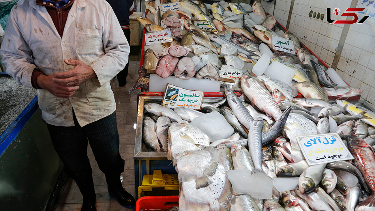 فروش کوسه ماهی به جای شیر ماهی در بازار ماهی فروشان