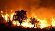 فیلم آتش سوزی مرگبار در الجزایر / 25 نفر زنده زنده سوختند 