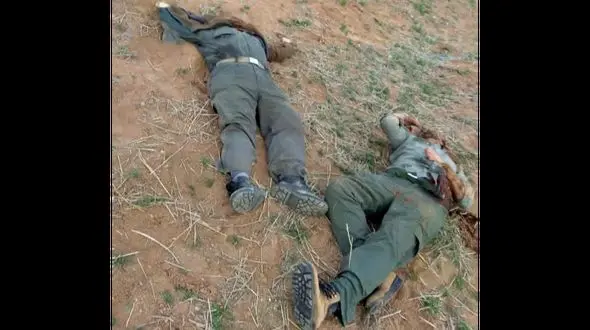  پوکه فشنگی که قاتل محیط‌بانان را لو داد + عکس 