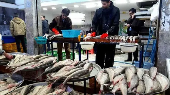 قیمت ماهی های پرفروش بازار اردیبهشت 1400