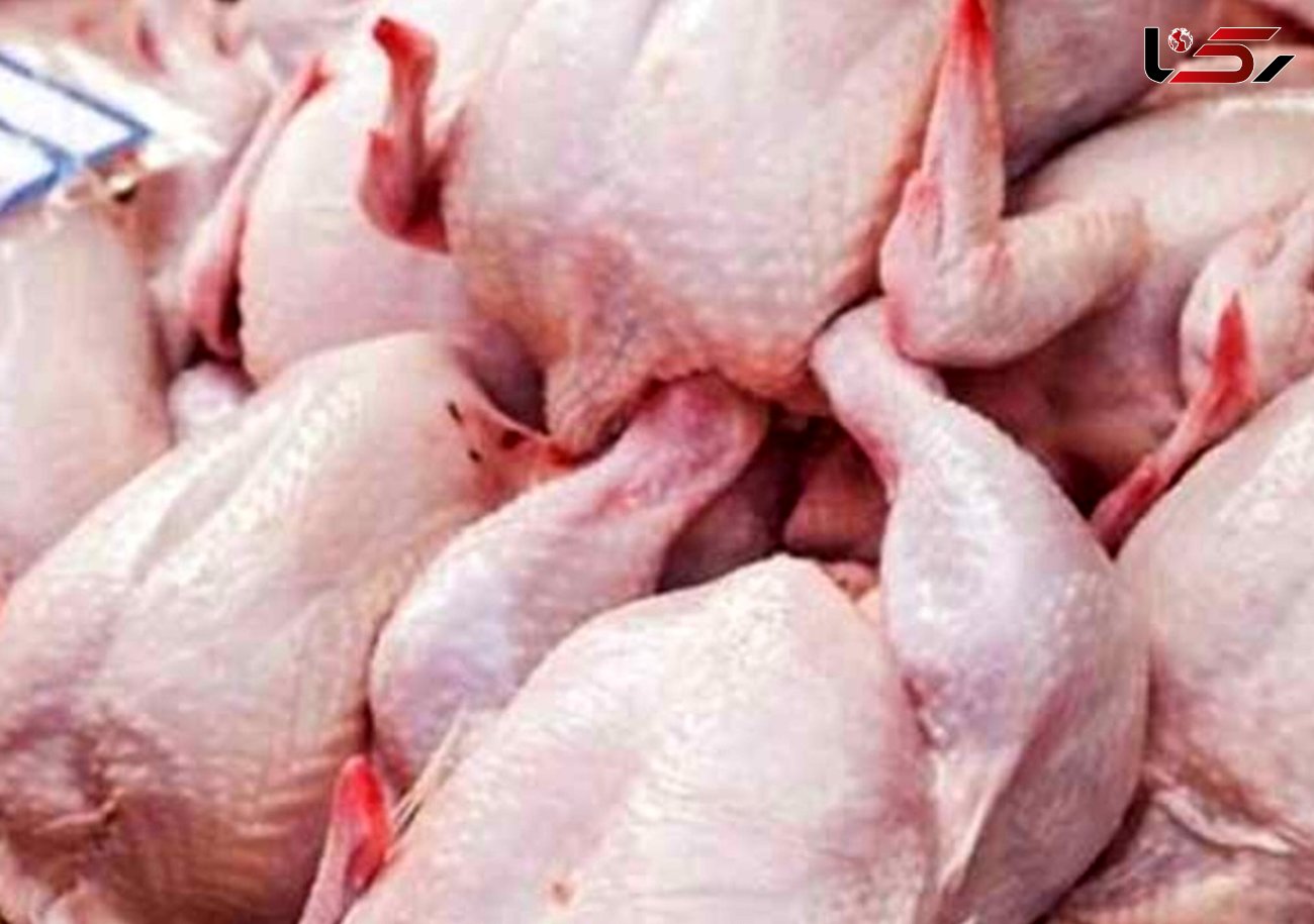 فعالیت ۷زنجیره تولید مرغ در آذربایجان غربی 