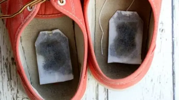 نسخه مادربزرگ ها برای فراری دادن میکروب کفش