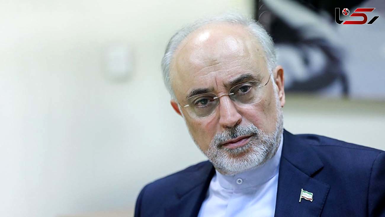 صالحی: پیشبرد مذاکرات توطئه بدخواهان ایران را نقش بر آب کرد