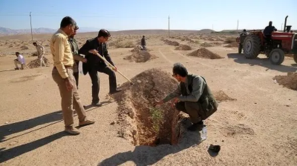طرح ملی «نهضت سبز» در برابر ریزگردها / کاشت نهال در ایلام آغاز شد
