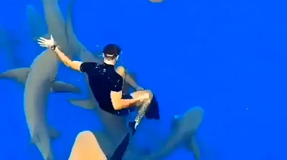 بازی با مرگ یک غواص را ببینید | فیلم