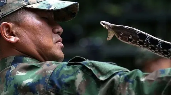 خوردن گوشت و خون مار در آموزش نظامی کشور تایلند+ عکس