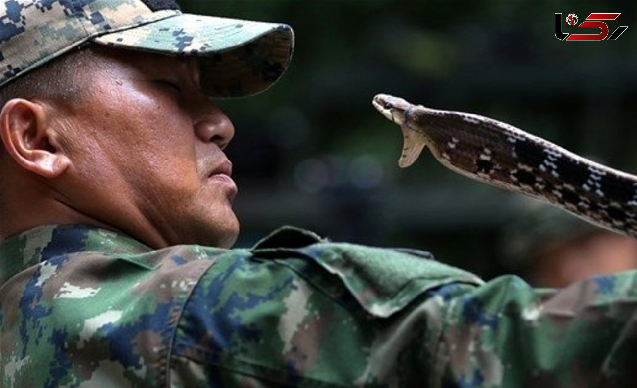 خوردن گوشت و خون مار در آموزش نظامی کشور تایلند+ عکس