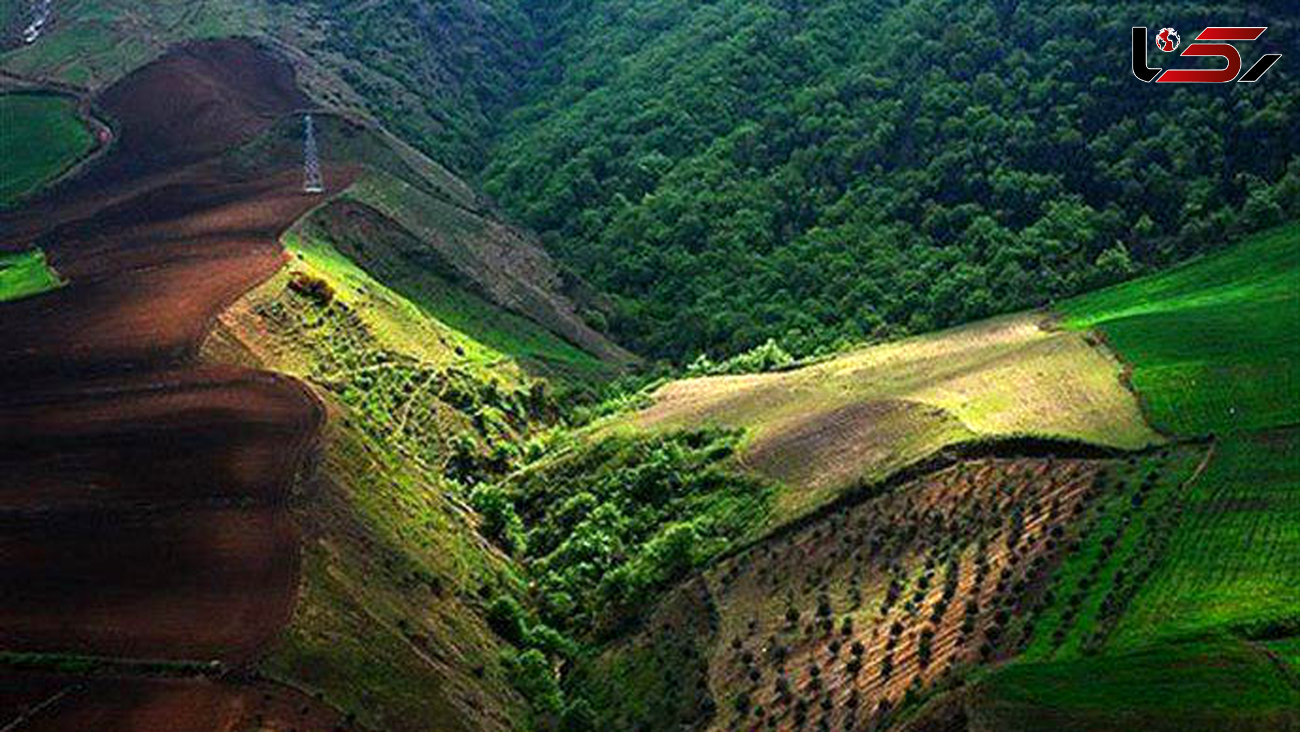 جهانی شدن جنگل های هیرکانی ایران