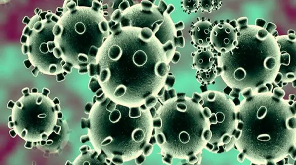 برای مقابله با کرونا چه بخوریم؟ 