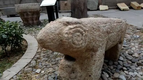 کشف قوچ سنگی در روستای انباردان بستان آباد + عکس