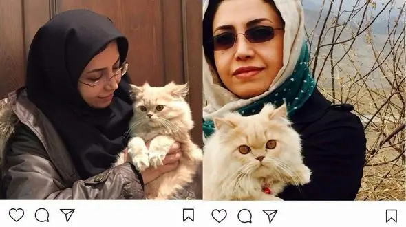 اقدام بی سابقه نماینده زن مردم تهران در شورای شهر + عکس 