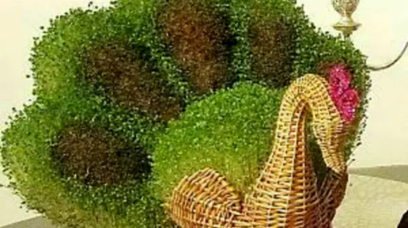 سبزه عیدتان را به شکل طاووس در آورید 