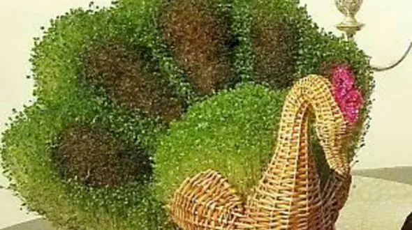 سبزه عیدتان را به شکل طاووس در آورید 