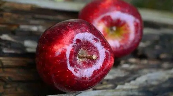 چربی سوزی با خوردن روزانه یک عدد سیب
