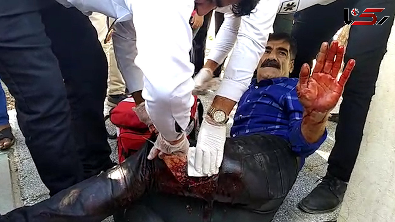 هجوم گرازهای وحشی به شهر میناب به خاطر سیل + فیلم زخمی شدن  مرد مینابی 