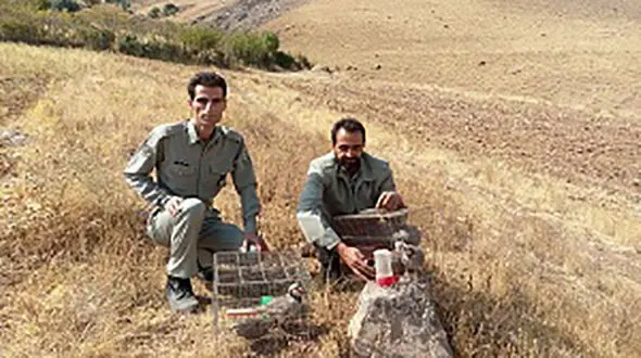 
دستگیری صیاد متخلف درسرپل ذهاب
