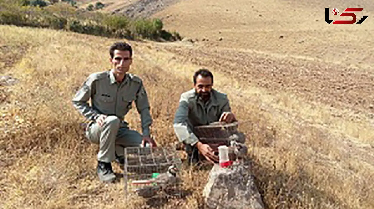 
دستگیری صیاد متخلف درسرپل ذهاب

