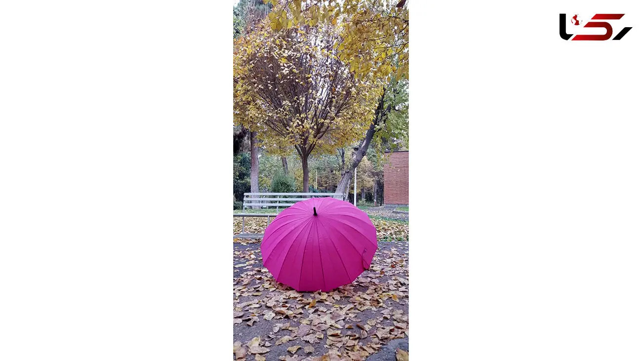 فال روزانه شخصی / 7 آذر ماه + فیلم