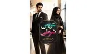 رمان عروس شرطی اثر پاتریشیا ویلسون؛ خلاصه داستان و معرفی شخصیت‌ ها