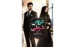 رمان عروس شرطی اثر پاتریشیا ویلسون؛ خلاصه داستان و معرفی شخصیت‌ ها
