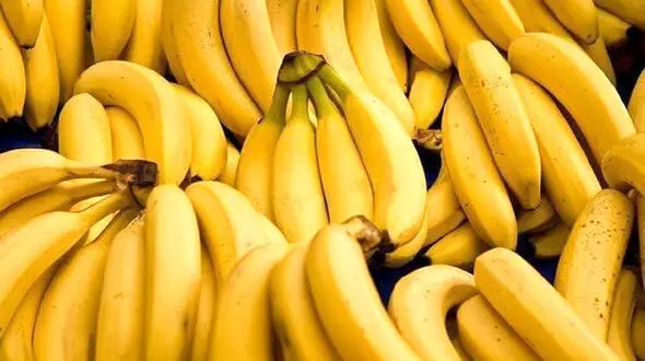 چرا خوردن یک موز در روز ضروری است؟