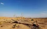 ایران دچار تنش آبی/ در حال مصرف بیش از 90 درصد منابع آب تجدیدپذیر هستیم /یک سوم حجم مخزن سدهای تهران پر است + فیلم