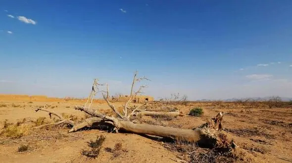 ۹ استان در آستانه تنش شدید آبی