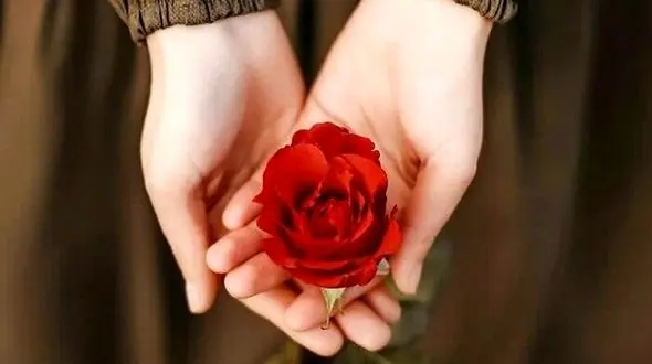 حکم شرع درباره جدا خوابیدن عروس و داماد ! / چیزی که نمی دانید !