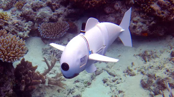 راز طراحی رباتی خارق‌ العاده با الهام از موجودات اعماق دریا