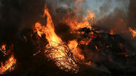 مهار آتش‌سوزی در جنگل‌های کوهدشت
