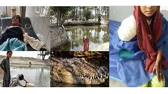 400 گاندو کودکان سیستان و بلوچستان را تهدید می کنند / 3 کودک قربانی شدند + عکس