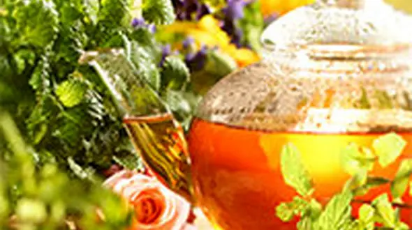 دمنوش هایی که قاتل چربی های شکم هستند