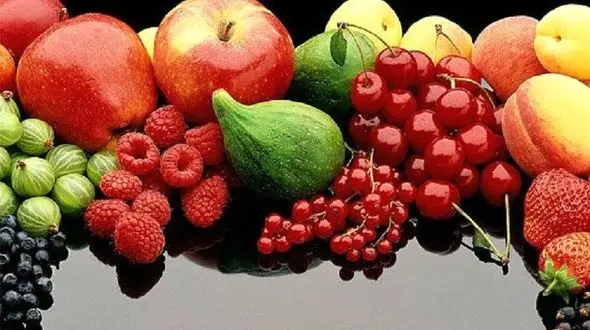 خوردن این میوه تابستانی چربی های بدن را می سوزاند