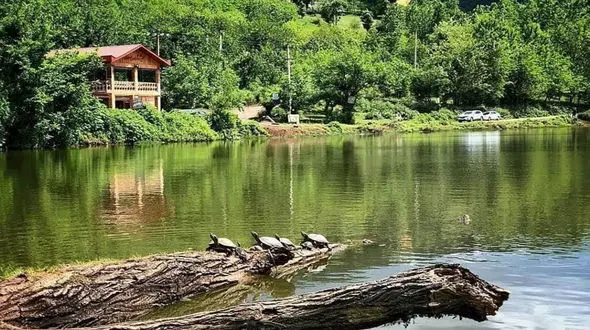 دریاچه عروس، بهشت گمشده ایران در استان گیلان + فیلم