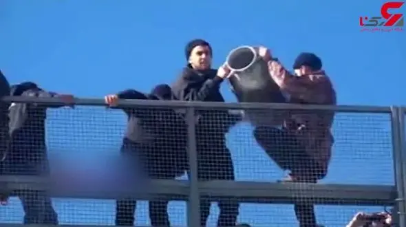 اعتراض عجیب دامداران ایتالیایی به سقوط قیمت شیر + فیلم