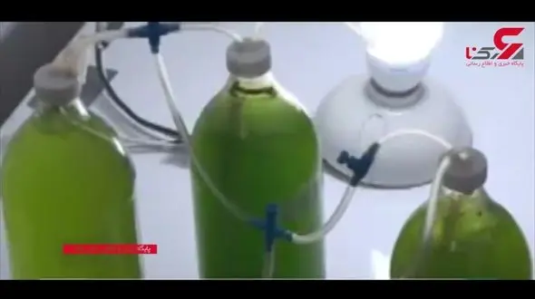 درختی مصنوعی که همانند جنگل هوا را تمیز می‌کند