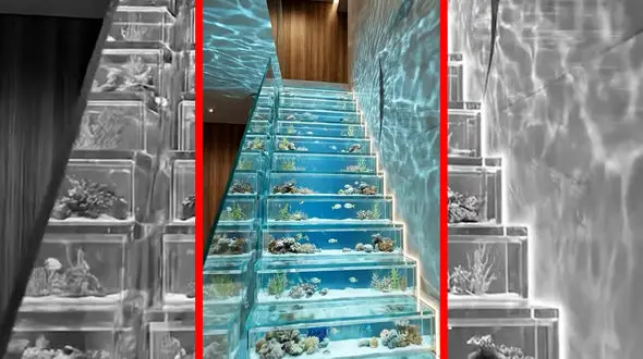 فیلم ساخت خلاقانه راه پله آکواریومی