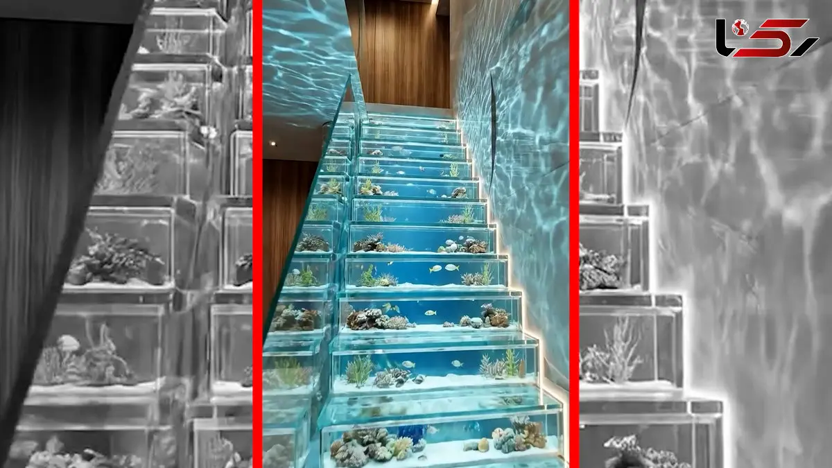 فیلم ساخت خلاقانه راه پله آکواریومی