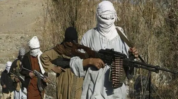 ورود طالبان به شهر هرات افغانستان+ فیلم