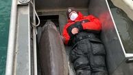 پیرترین ماهی جهان صید شد! / چند ساله است! + عکس