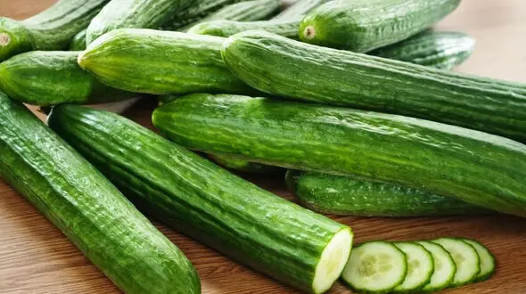 بهترین نوع خیار چه ویژگی هایی دارد؟
