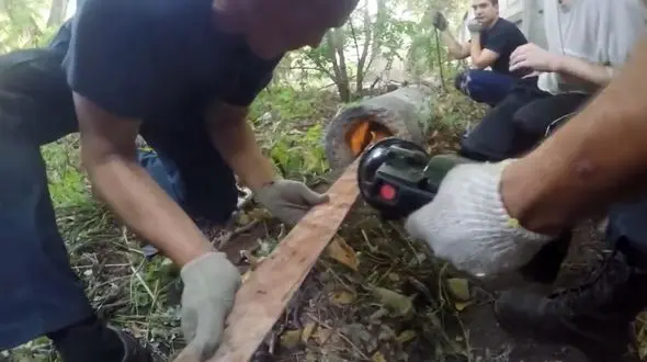 وقتی بازیگوشی یک بچه گربه، همه را به دردسر می‌اندازد + فیلم