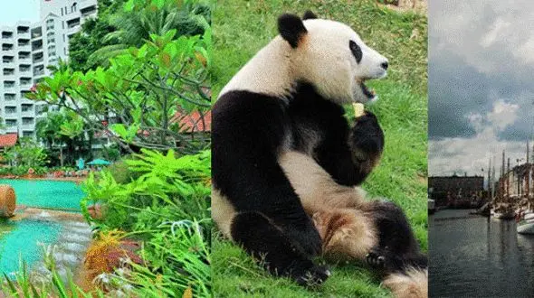 مکان های شاد و آرامش بخش در جهان را بشناسید +تصاویر دیدنی 