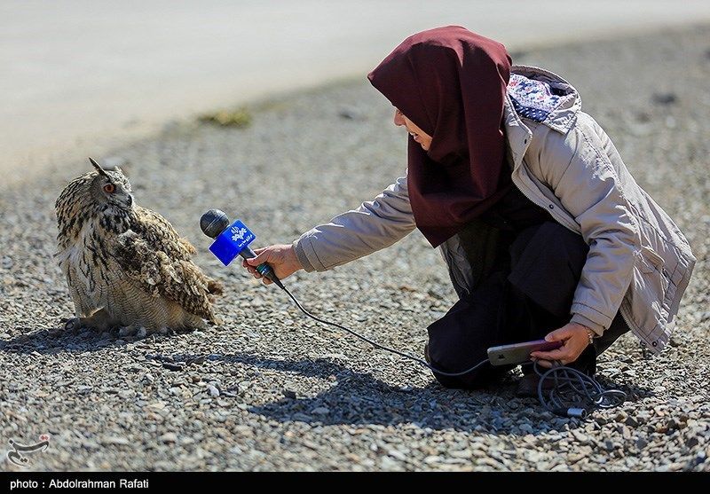  حرکت عجیب خبرنگار زن صداوسیما سوژه شد! 